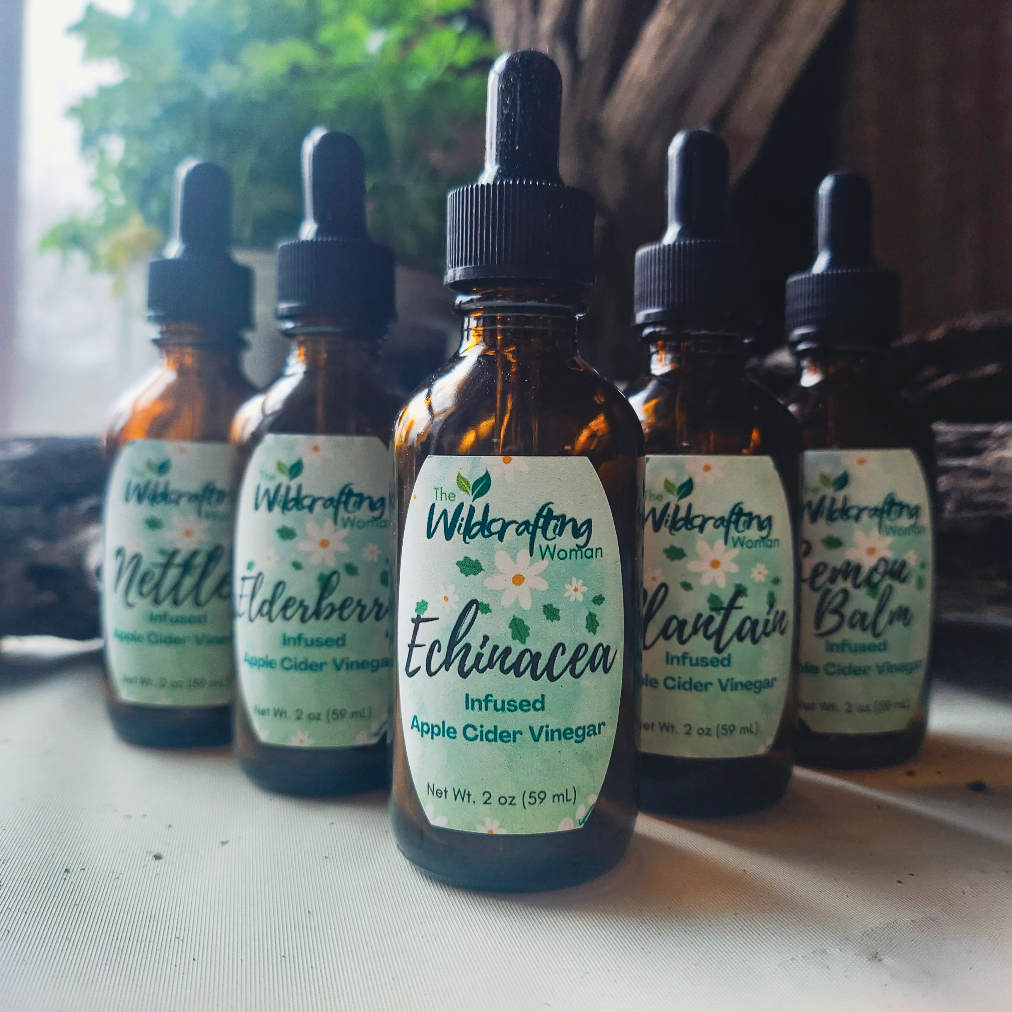 Herbal Apple Cider Vinegar Infusions – Wildcrafted & Small-Batch